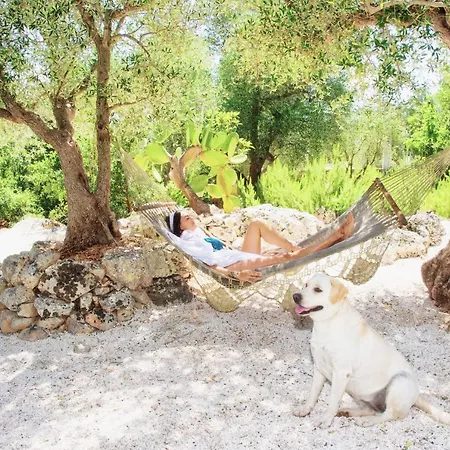 Puntebianche 3* Ceglie Messapica