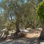 Bed & Breakfast Puntebianche 3*