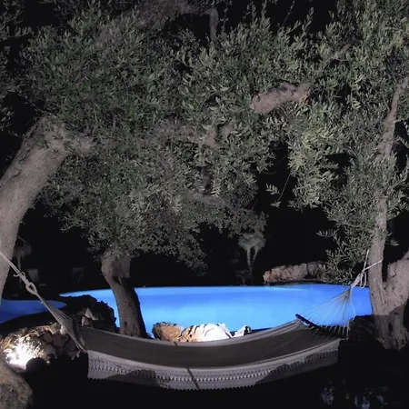 Bed & Breakfast Puntebianche