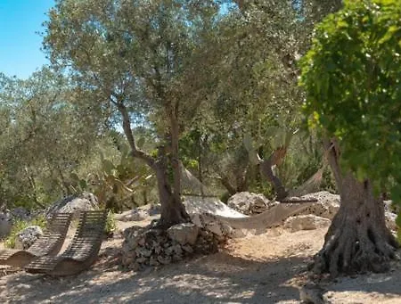 Bed & Breakfast Puntebianche *